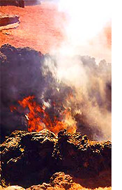 Aulaga Büsche fangen schnell Feuer in der Vulkanhitze