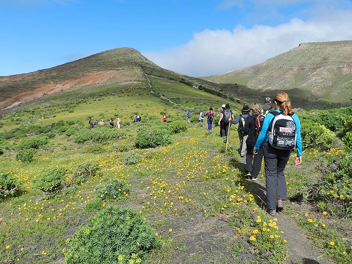 Wandergruppe im grünen Lanzarote Aufsieg zum Risco de Famara